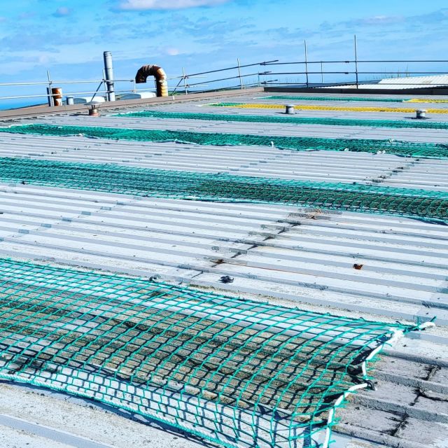 Fragile rooflights have been made safe with over netting and we are now ready to install our insulated roof oversheeting system. #northdevon #devonbusiness #industrialroofing #saveenergy